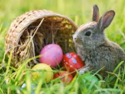 Vacances de Pâques ! Garderie et UAPE (2,5 à 8 ans)